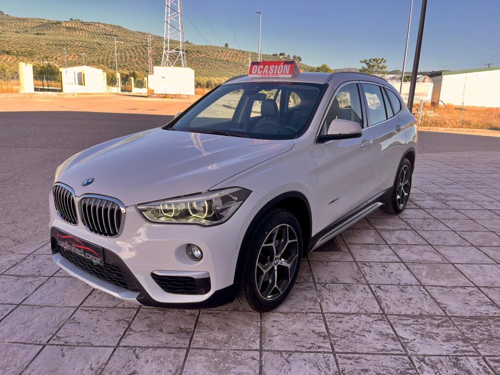 Foto 6 de BMW X1 18d 150cv XLINE